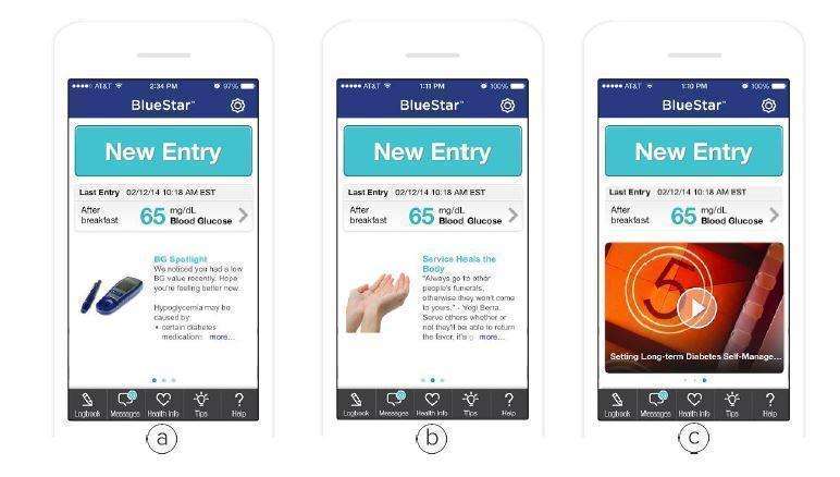 WellDoc BlueStar or WellDoc DiabetesManager System and DiabetesManager Rx System